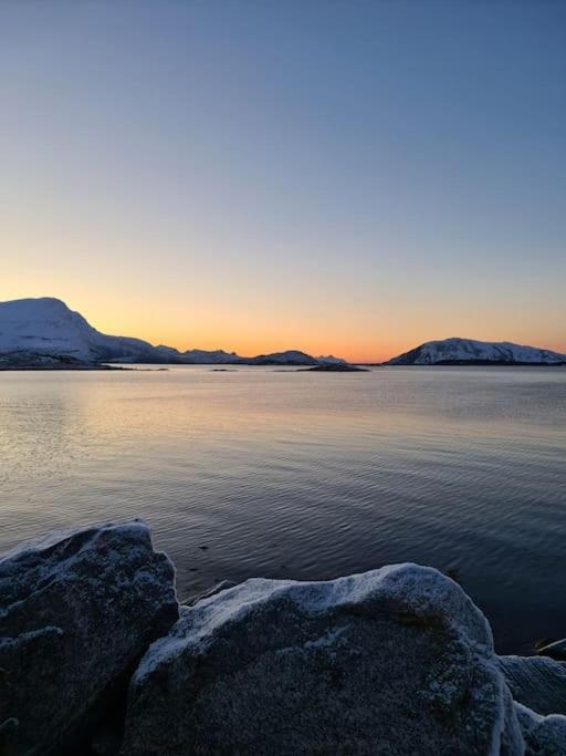 Koselig Og Moderne Leilighet, Meget Sentralt I Narvik Med Gratis Parkering! Εξωτερικό φωτογραφία