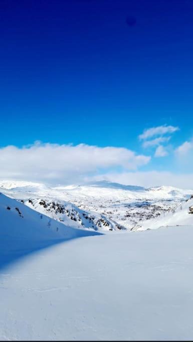 Koselig Og Moderne Leilighet, Meget Sentralt I Narvik Med Gratis Parkering! Εξωτερικό φωτογραφία
